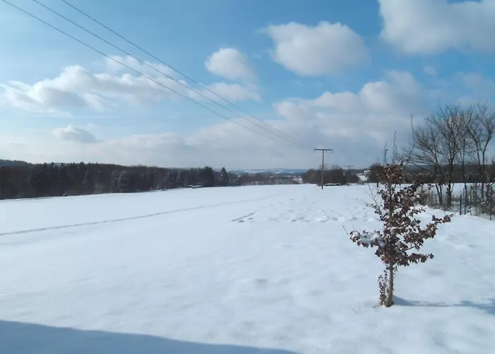 Cozy With Private Garden In Nisterau * Lautzenbrücken