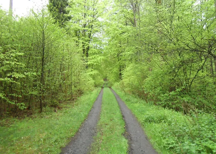 Cozy With Private Garden In Nisterau